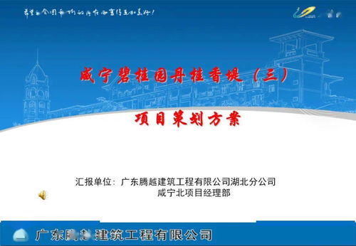 旅游開發項目策劃咨詢與執行指南